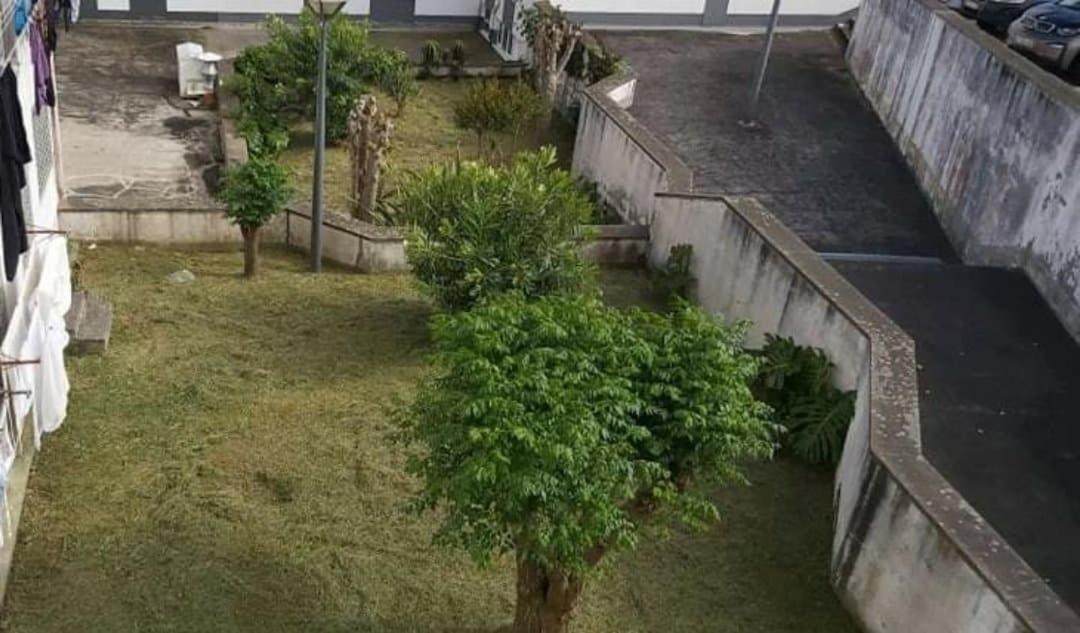 Apartamento Orquidea Ponta Delgada Buitenkant foto