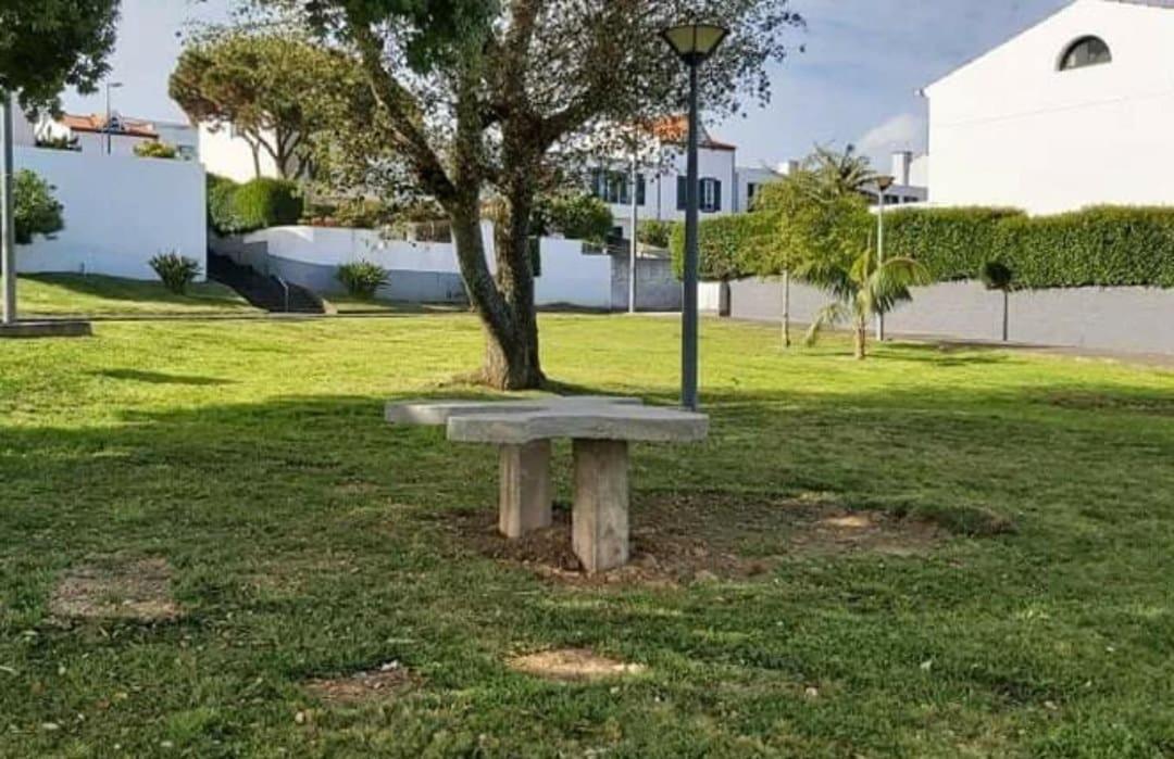 Apartamento Orquidea Ponta Delgada Buitenkant foto